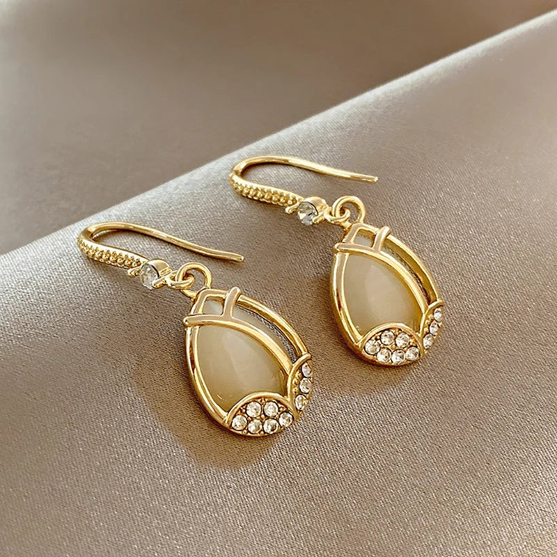 Earrings For Women Z29