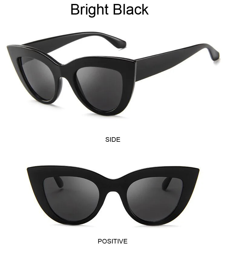 Sunglasses Brand Z2