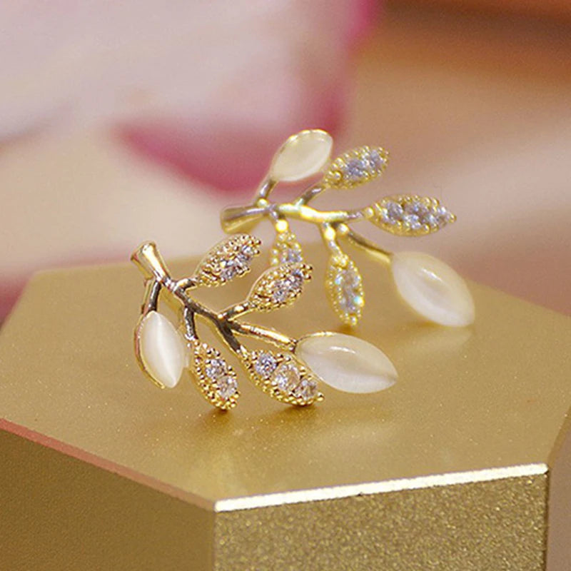 Earrings For Women Z29