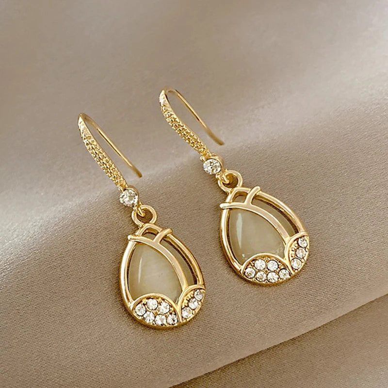 Earrings For Women Z29