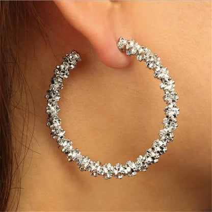 Earrings for Women Z70