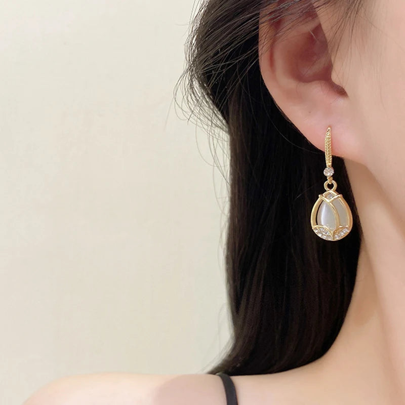 Earrings For Women Z29