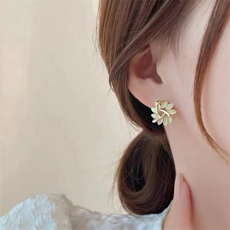 Earrings for Women Z68