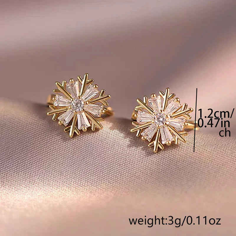 Luxury Zircon Earrings Z19