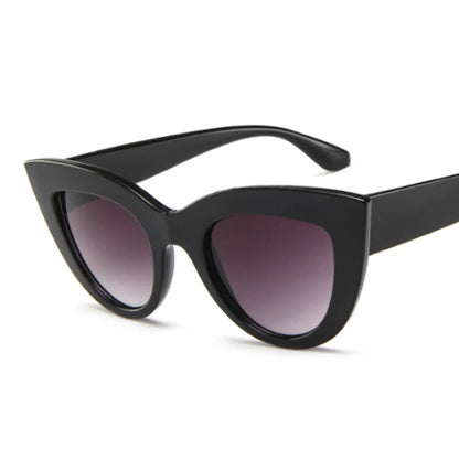 Sunglasses Brand Z2