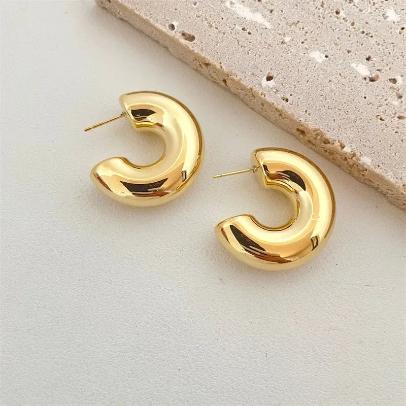 Earrings Glossy Z32