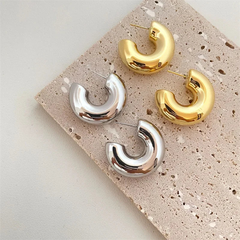 Earrings Glossy Z32