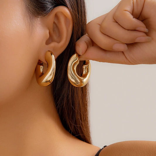 Earrings for Women Z38