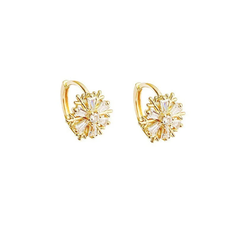 Luxury Zircon Earrings Z19