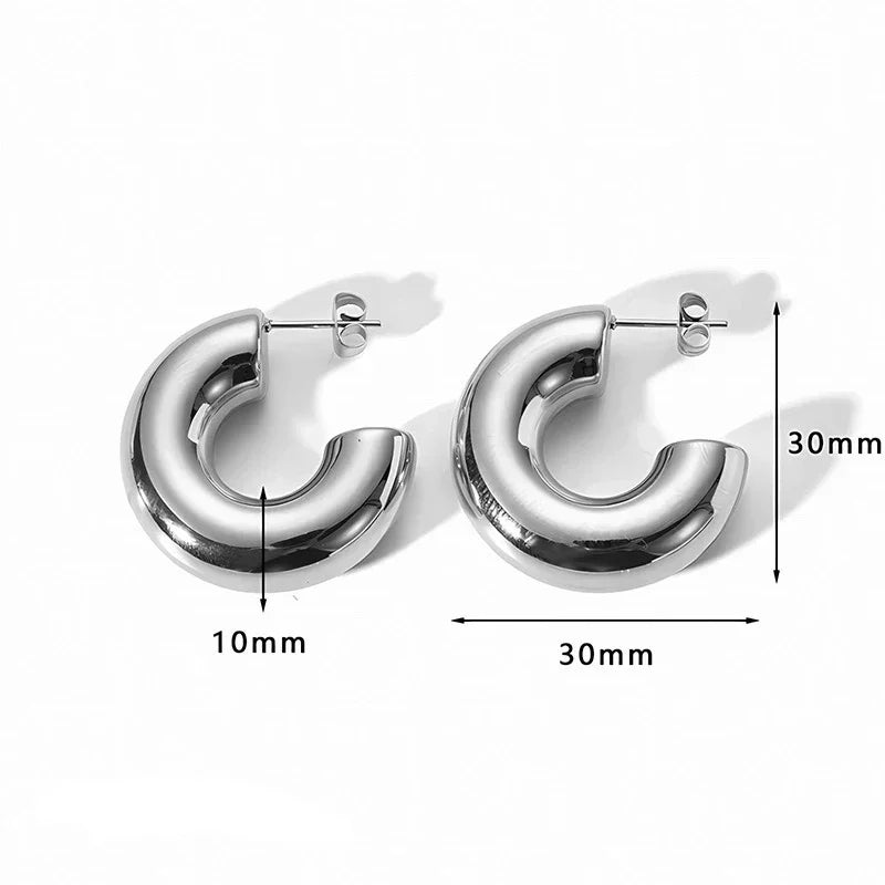 Earrings Glossy Z32