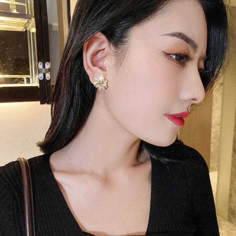 Earrings for Women Z68