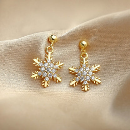 Earring for Women Christmas Z24