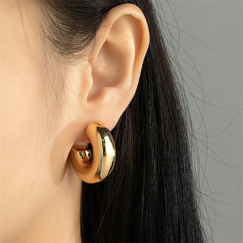 Earrings Glossy Z32